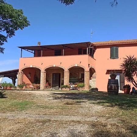 Agriturismo Marruchetone Vecchio Манчиано Экстерьер фото